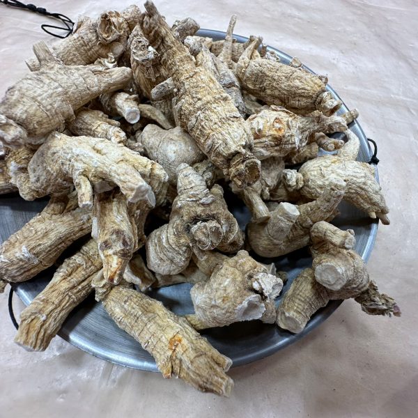 花旗泡參（兩）