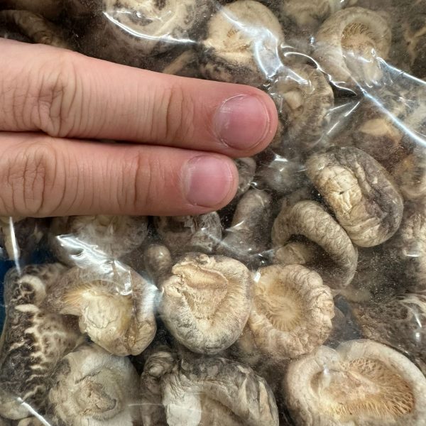 去頂飛龍牌冬菇(小)