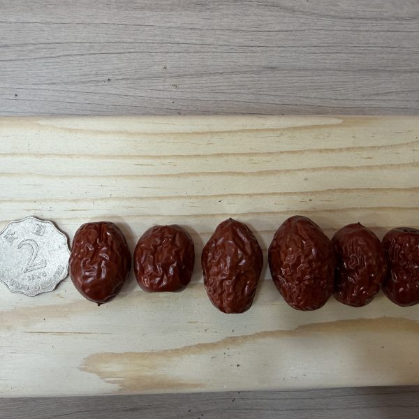 大紅棗