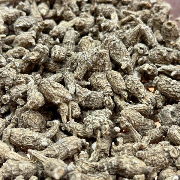 花旗野生原尾泡參（兩）