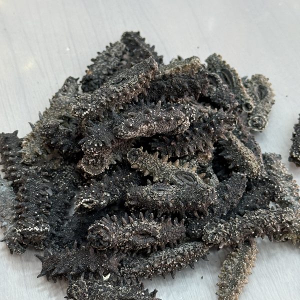 日本關東遼參(210-220頭)（斤）