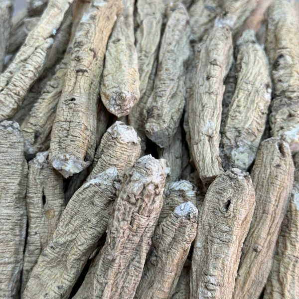 甘肅黨參(雙特節AA)（兩）