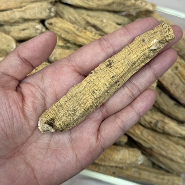 甘肅黨參(小節AA)（兩）