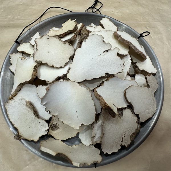 特級虎乳靈芝（兩）