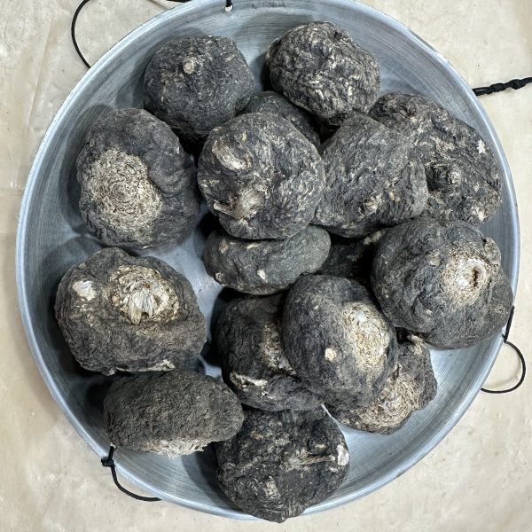 原隻黑馬卡（兩）