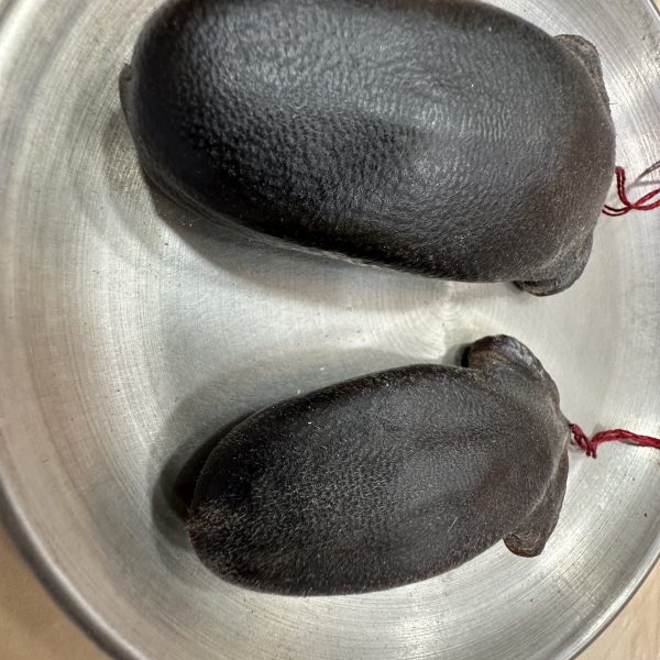 吉林暉春鹿尾巴（大小：二兩）