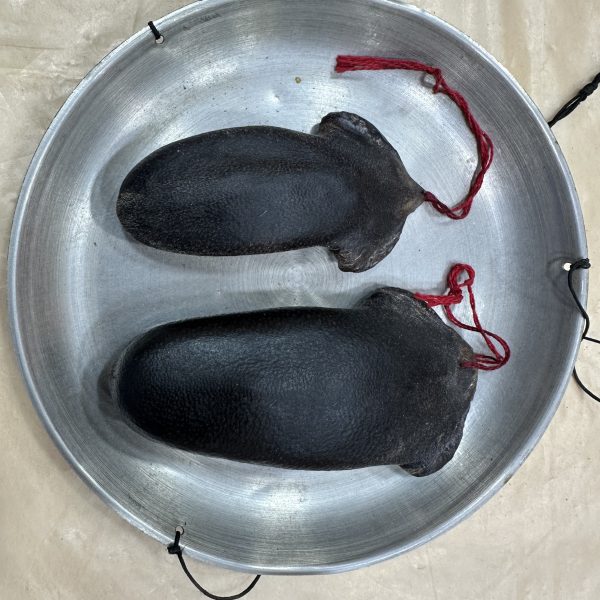 吉林暉春鹿尾巴（大小：一兩）