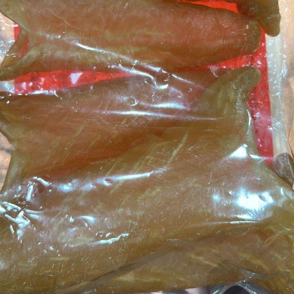 南非花膠筒(5頭)（斤）