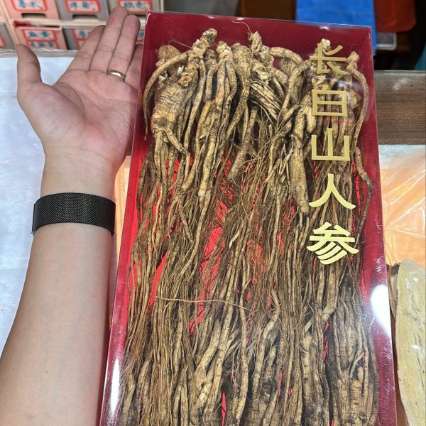 長白山野山人參